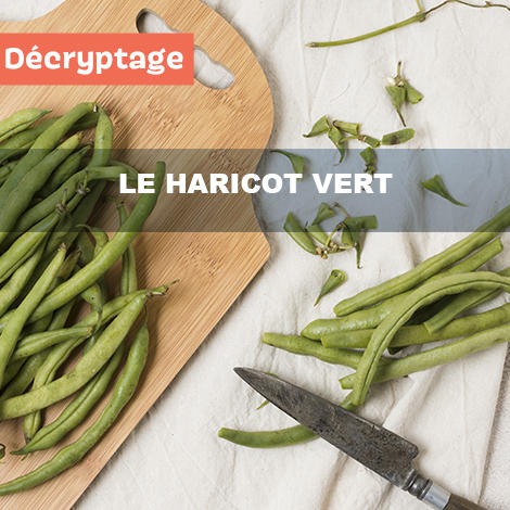  Décryptage : le haricot vert 