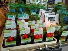 272-biocoop-camargue-arles-magasin-bio-plant-fruit-legume.webp